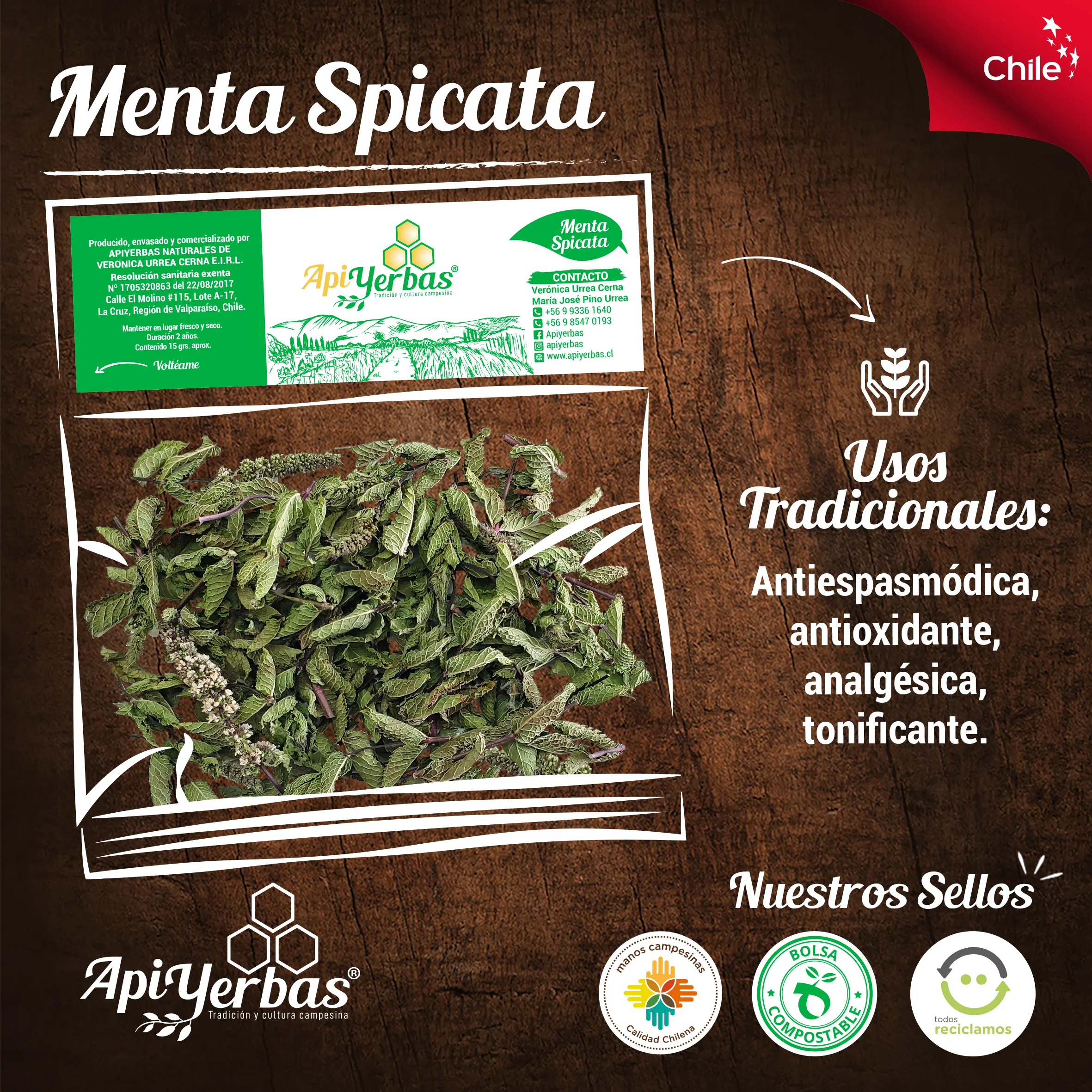 Copia de 1menta spicata publicacion