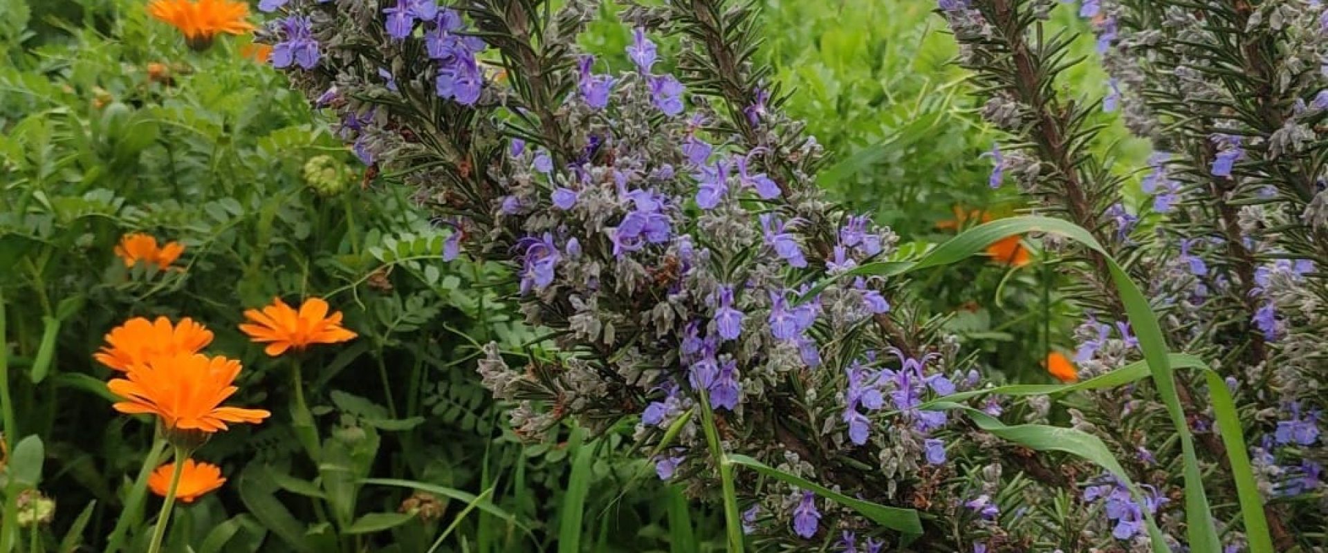 WhatsApp Image 2025-07-14 at 09.05.01